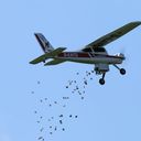 Das Bonbon-Flugzeug hat für die Kinder seine Ladung abgeworfen....