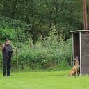 der Helfer ist gefunden: Stellen und Verbellen des Helfers im Versteck